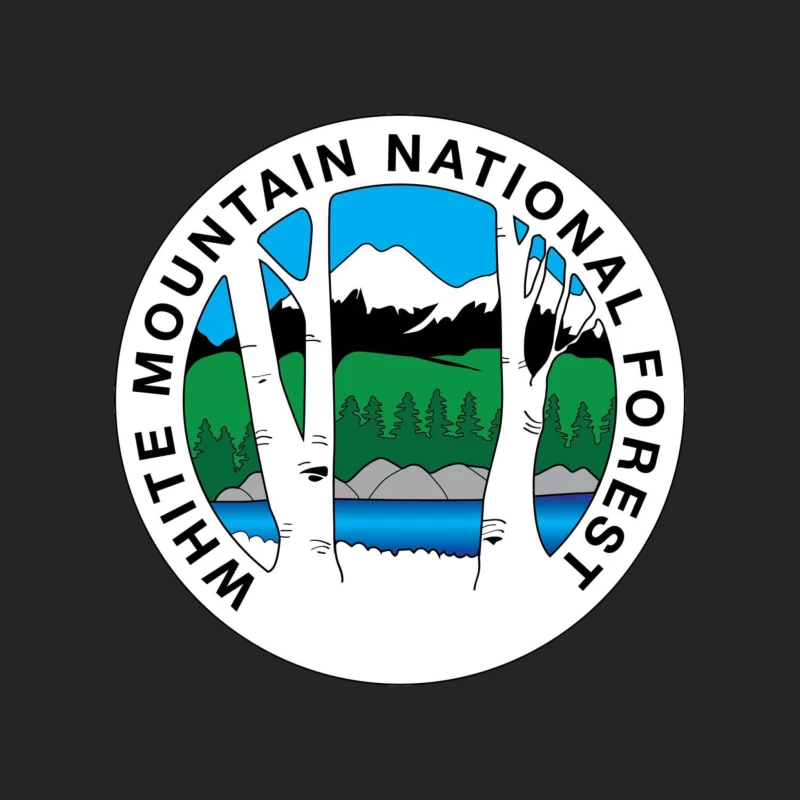 White Mountain National Forest Male Pullover Sweatshirt