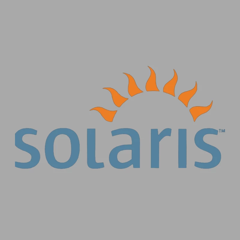 Solaris Operating System Logo with Sun Symbol Male Pullover Hoodie