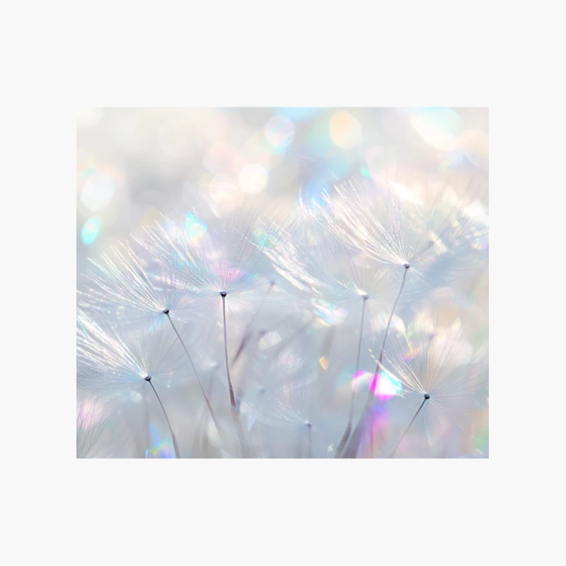 Dreamy Dandelion Macro in Soft Pastel Bokeh Cotton Tote Bag