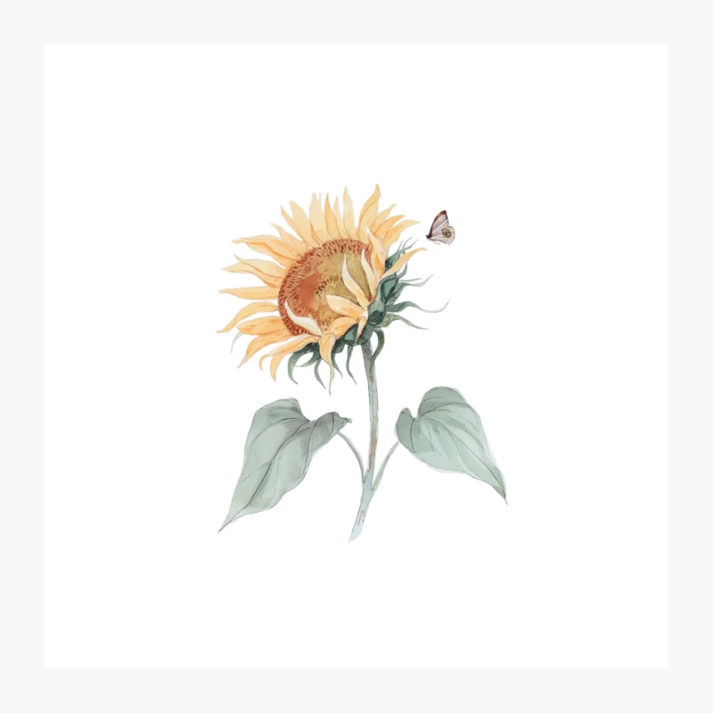 Delicate Watercolor Sunflower with Butterfly: A Botanical Nature Study Pin