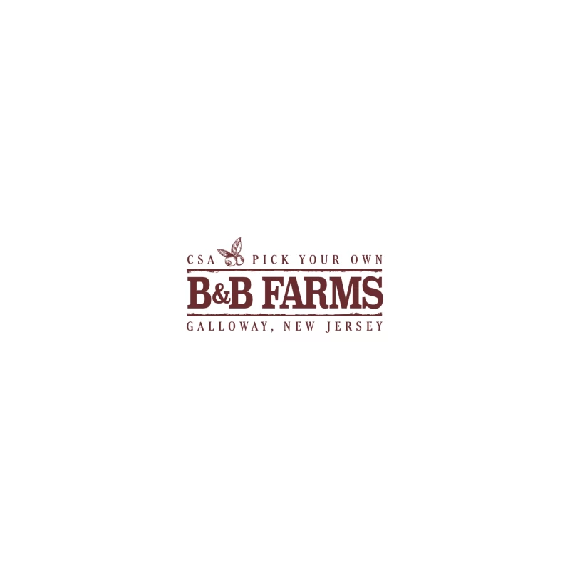 B&B Farms Logo iPhone Case