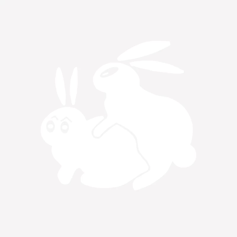 Rude, Rabbits Humping,Funny Female T-Shirt