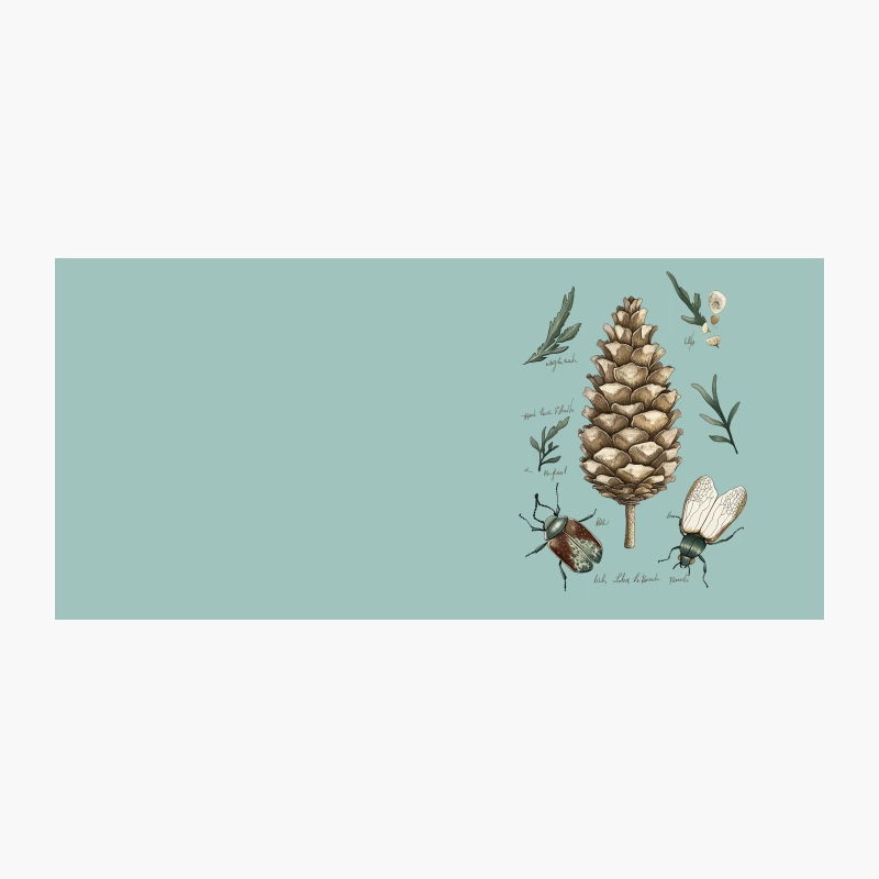 Vintage Botanical Illustration: Pine Cone and Insects Study Coffee Mug