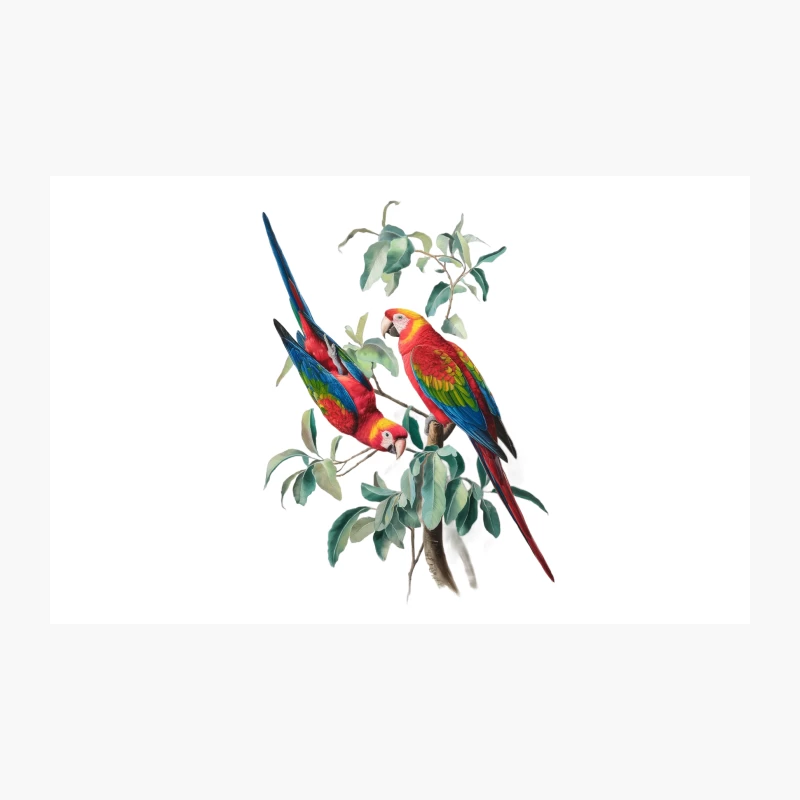 Vibrant Macaws Perched on Leafy Branch: A Tropical Wildlife Illustration Travel Mug