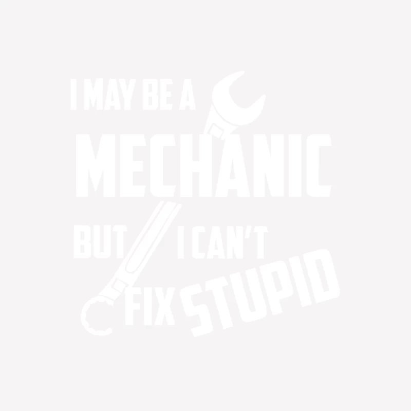 I May Be A Mechanic But I Can_t Fix Stupid Female T-Shirt