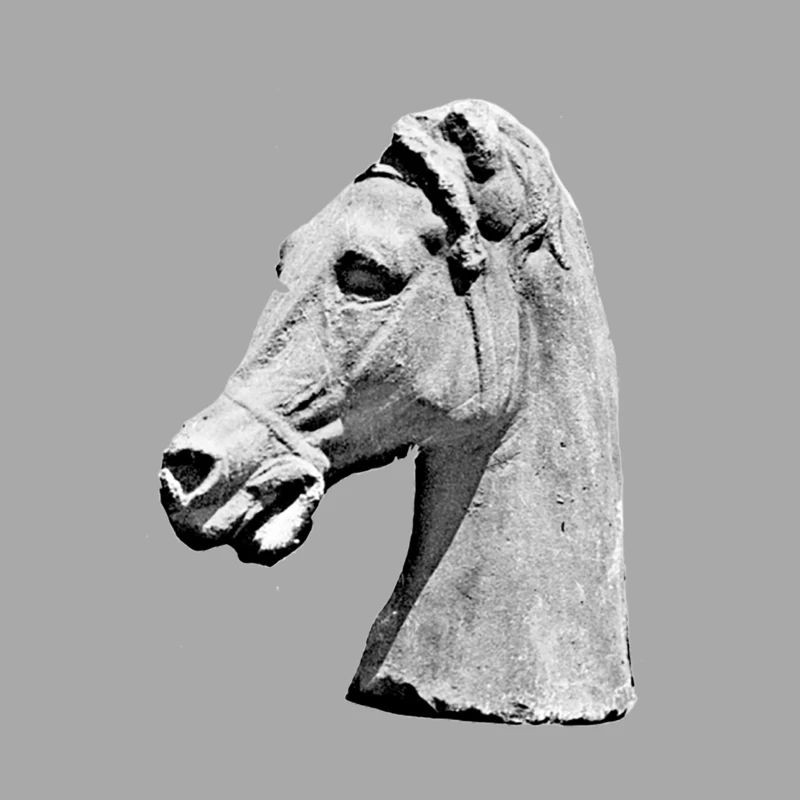 Aesthetic  Greek Horse Statue Design Male Pullover Hoodie