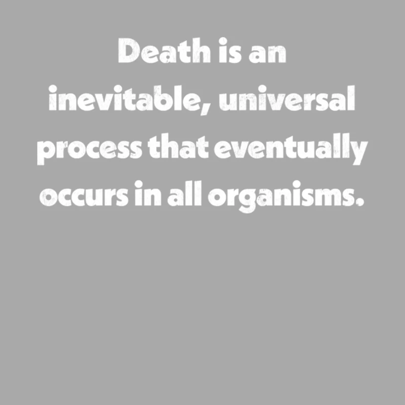 Death Definition Typography Design Female Pullover Hoodie