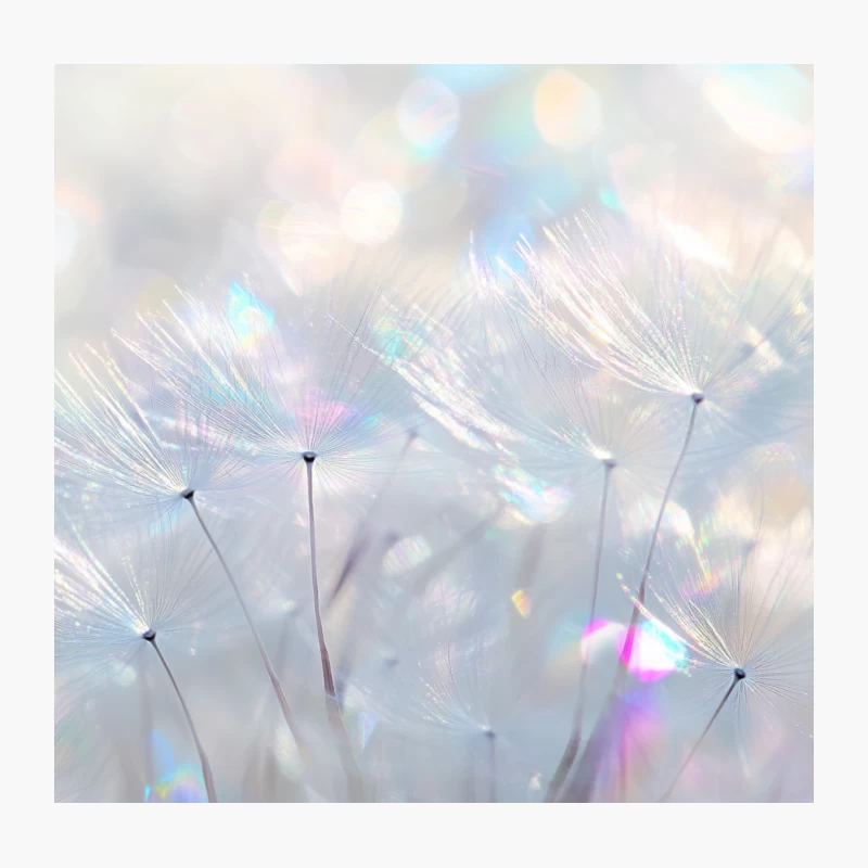 Dreamy Dandelion Macro in Soft Pastel Bokeh Throw Pillow