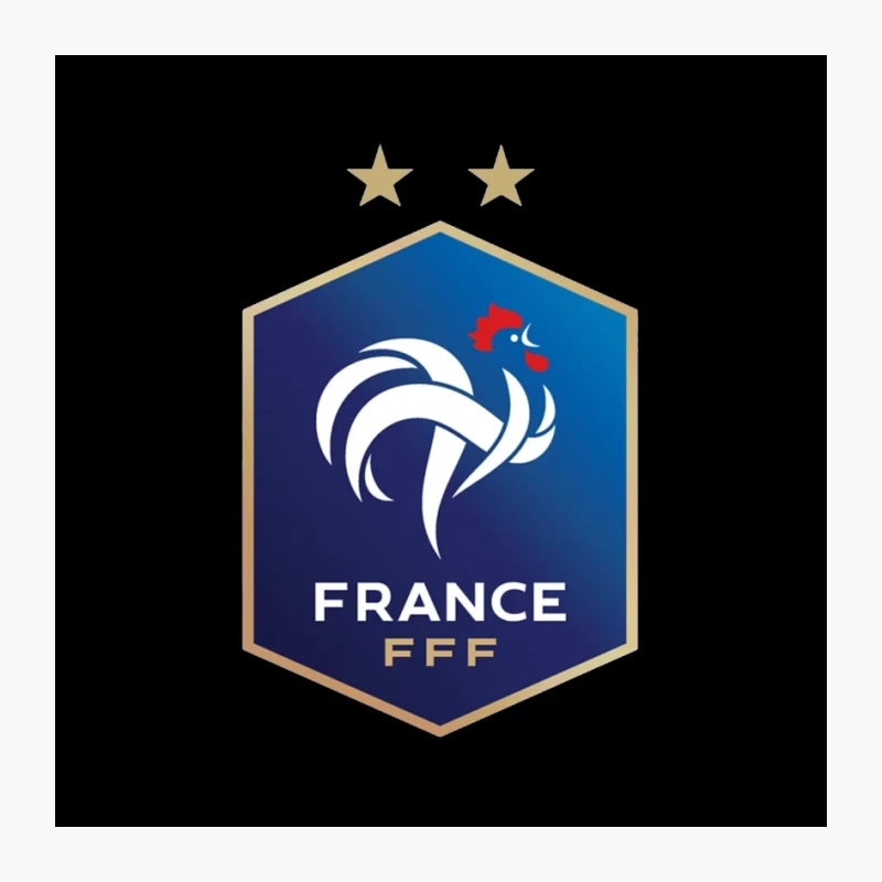 French Football Federation Logo with Rooster Emblem and Gold Stars Pin