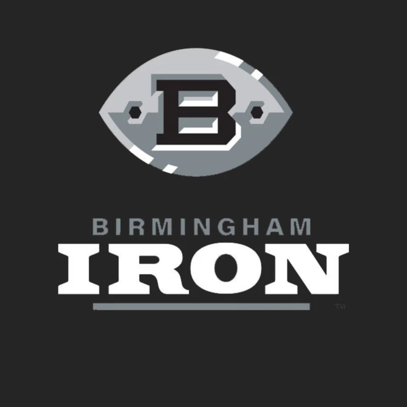 Birmingham Iron AAF Football Male Pullover Sweatshirt