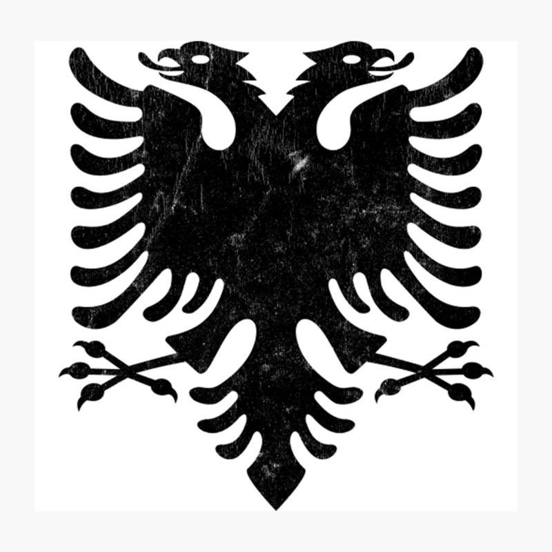 Albania  Faded Vintage Style Eagle Flag Design Throw Pillow