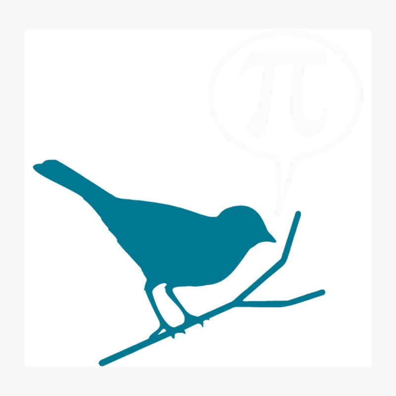 Pi Bird Throw Pillow