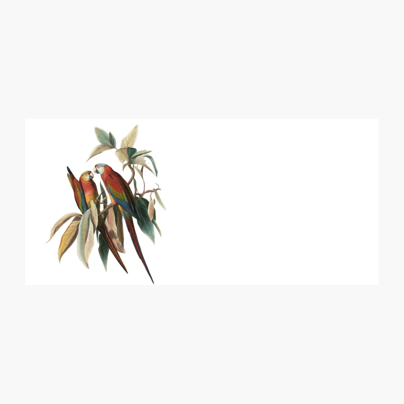 Vibrant Macaws: A Tropical Avian Portrait Coffee Mug
