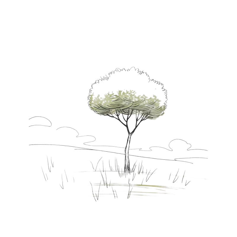 Minimalist Sketch of a Solitary Tree in Nature Tapestry