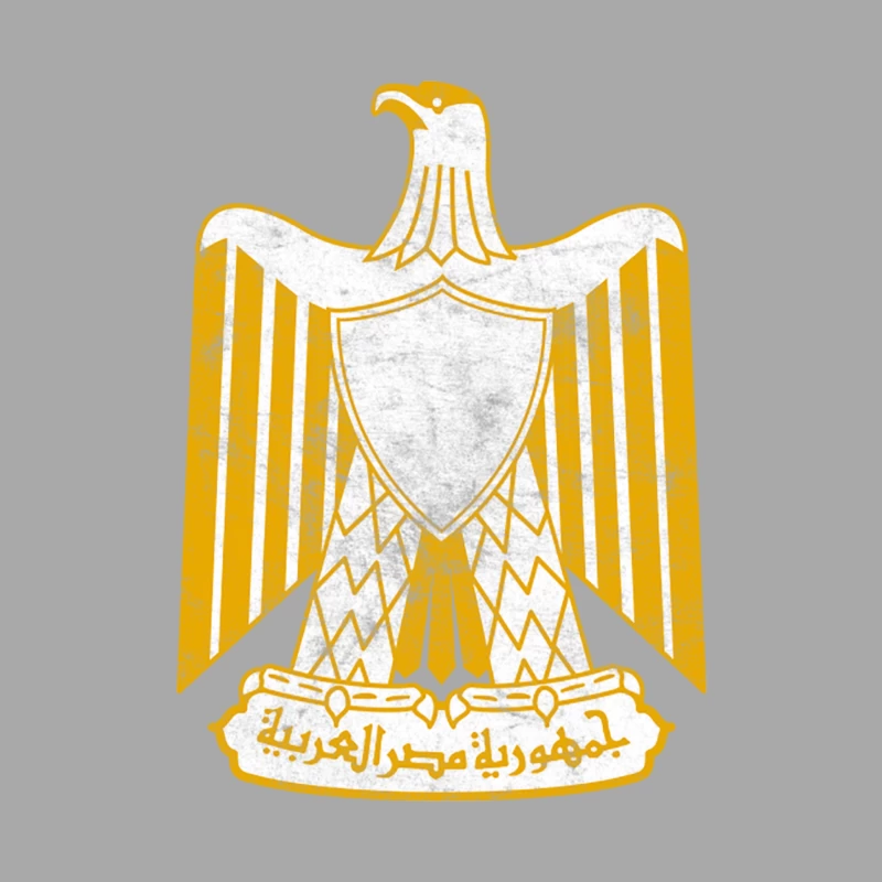 Egypt  Vintage Faded Style Flag Design Female Pullover Hoodie