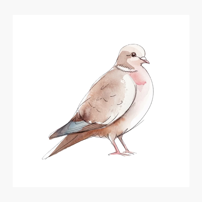 Watercolor Illustration of a Gentle Dove Throw Pillow
