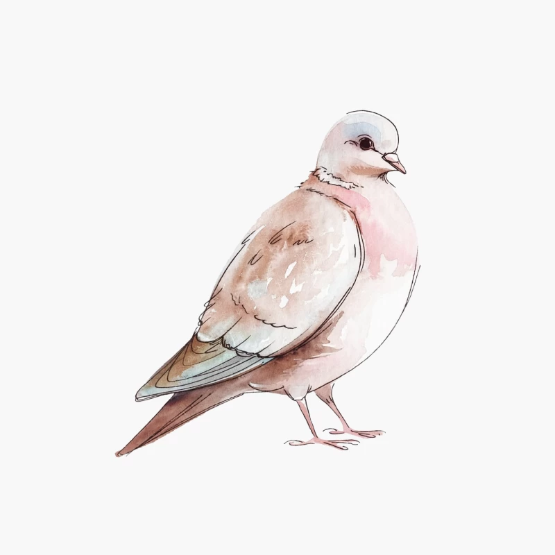 Watercolor Dove: Gentle Wildlife Illustration in Pastel Hues Cotton Tote Bag