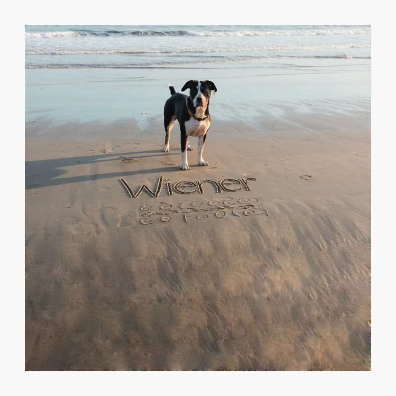 Humorous Dog Beach Scene with Clever Sand Writing Pin