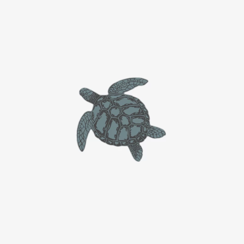 Illustration de Tortue Marine Homme Sweat-shirt à enfiler