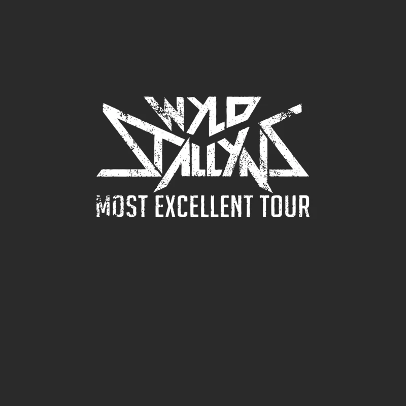 Wyld Stallyns Excellent Tour Baseball Cap