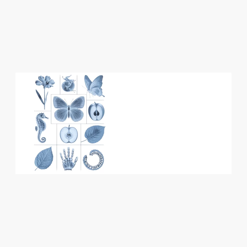 Blue Monochrome Nature and Science Illustrations Coffee Mug