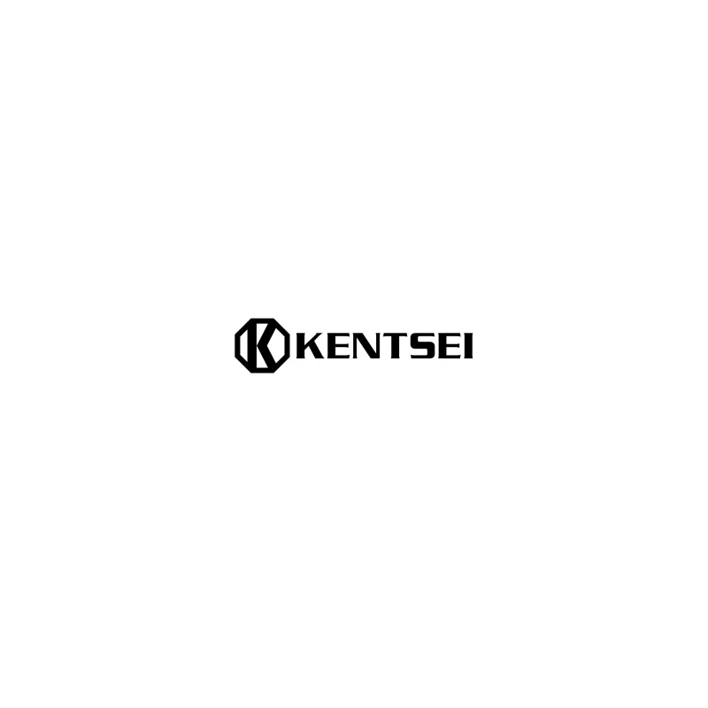 Kensei Black and White Geometric Brand Logo iPhone Case