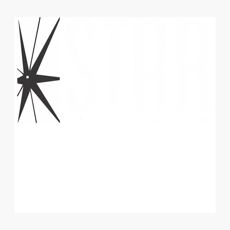 Minimalist Black and White Geometric Star Design Throw Pillow