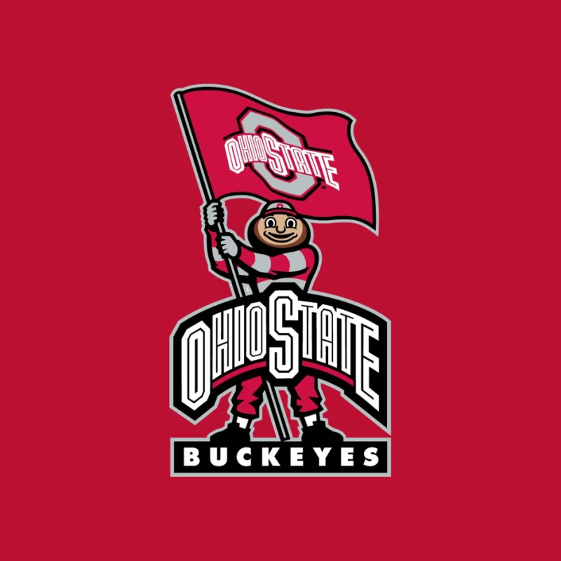 OHIO STATE BUCKEYES Pin