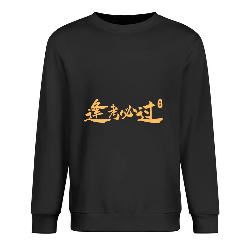 Prüfung Bestehen Schriftzug Herren Pullover Sweatshirt