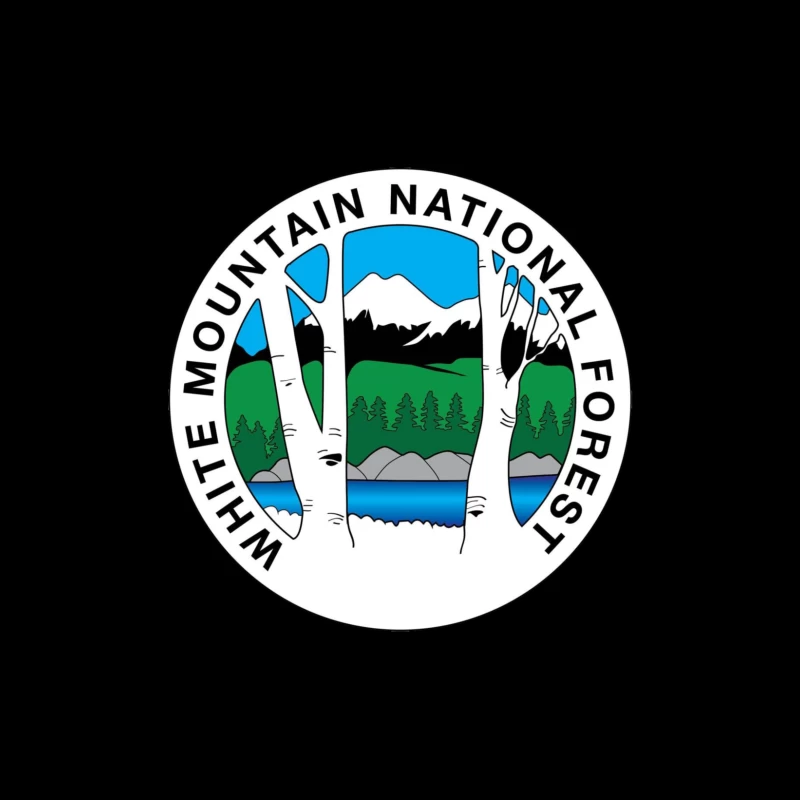 White Mountain National Forest Throw Pillow