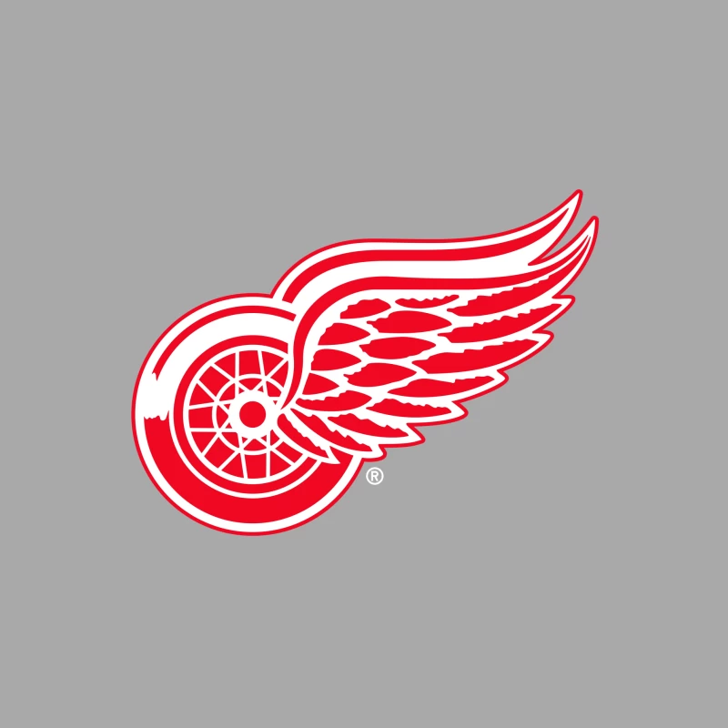 Detroit Red Wings NHL Hockey Team Logo Female Pullover Hoodie