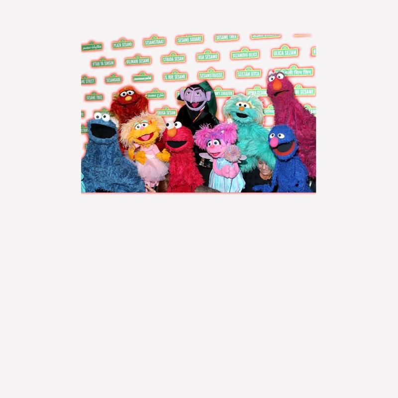 11 SESAME STREET Female T-Shirt