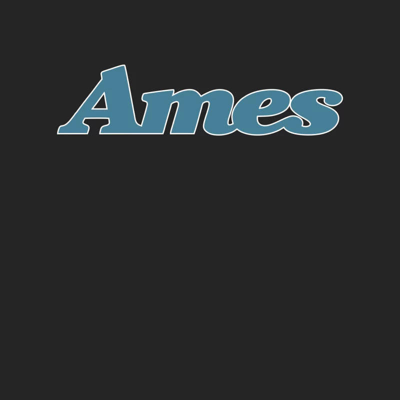 Ames Department Stores Male Pullover Sweatshirt