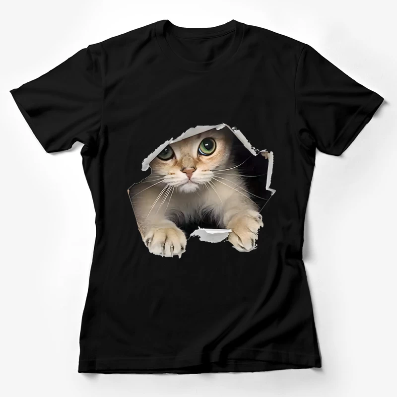 Kätzchen schaut durch ein Loch Damen T-Shirt