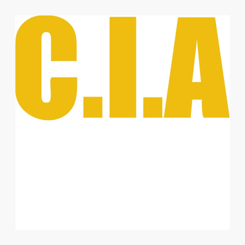 CIA  funny  fashion FBI Feds joke fancy dress Pin