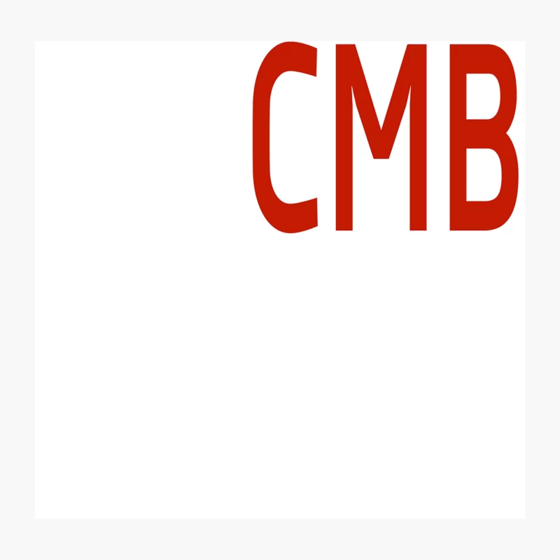 YMCMB Young Money Throw Pillow