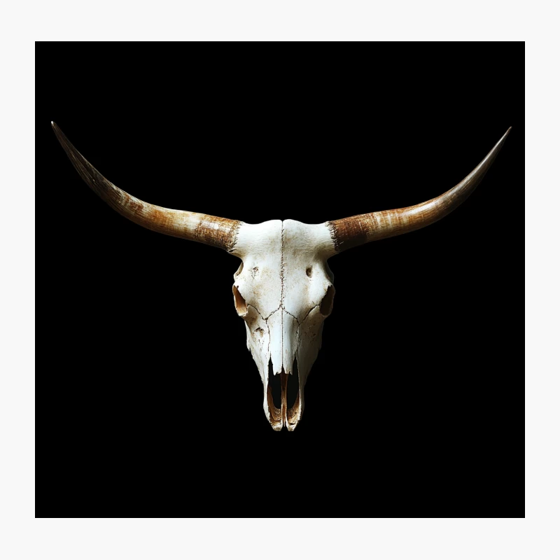 Longhorn Skull: Western Taxidermy Decoration Throw Pillow