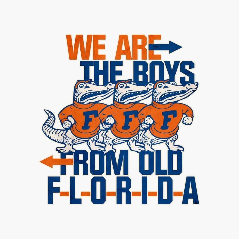 Vintage College Sports - Florida Gators "WE ARE THE BOYS" Cotton Tote Bag