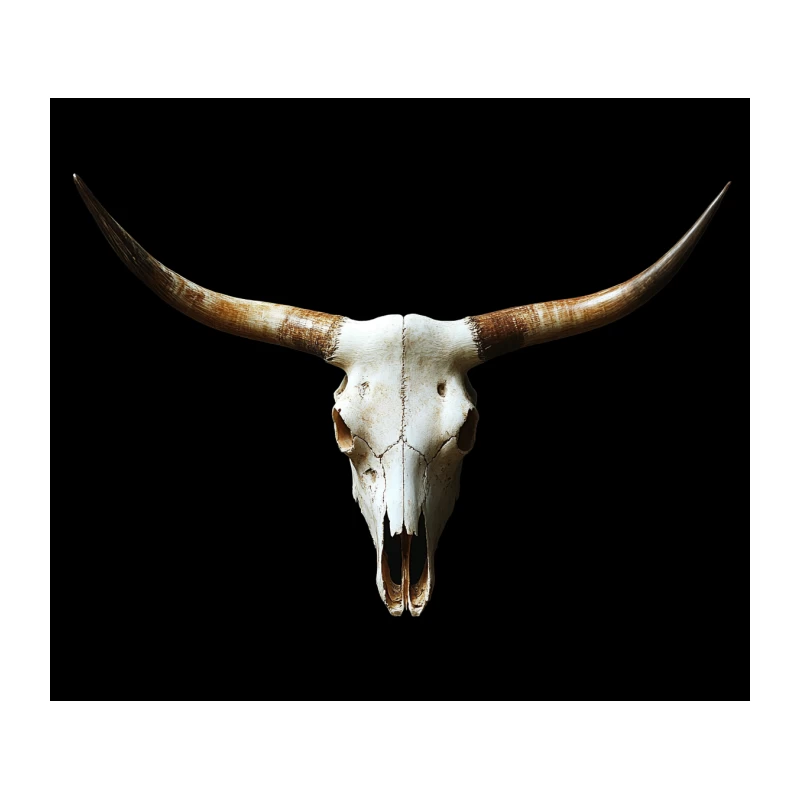Longhorn Skull: Western Taxidermy Decoration Tapestry