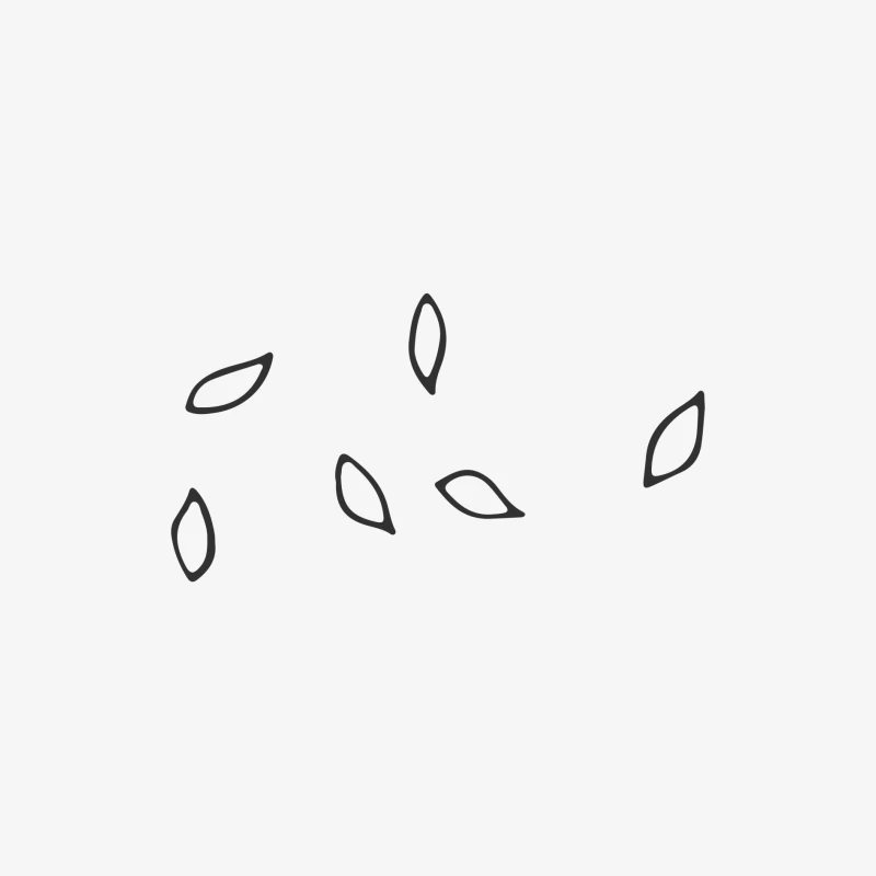 Design minimaliste avec formes feuille Femme Manches Longues T-Shirt