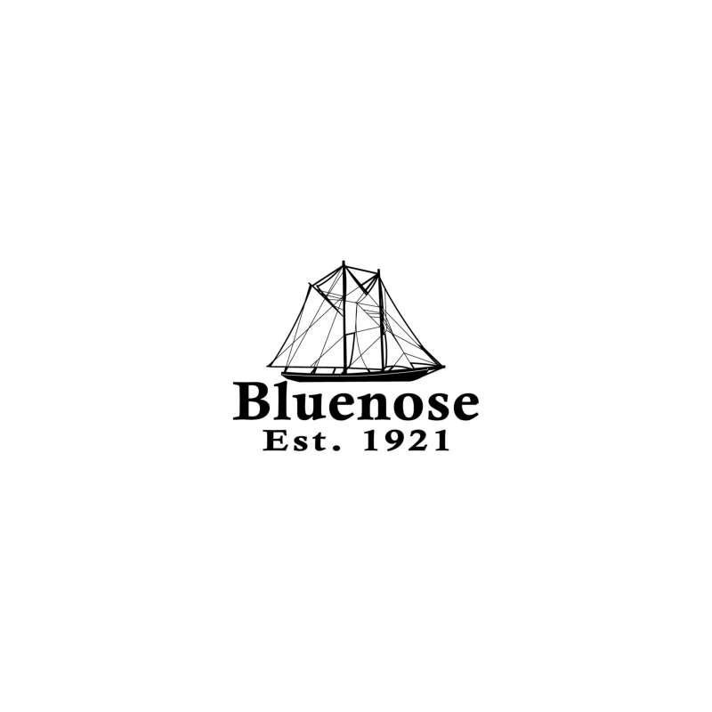 Bluenose 4 iPhone Case