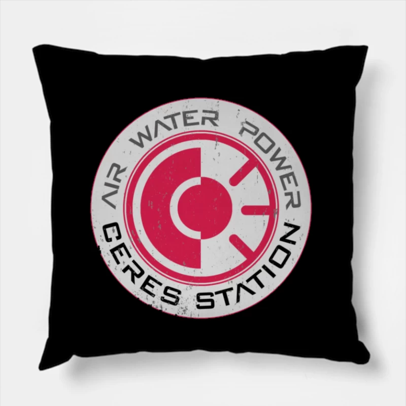  Throw Pillow