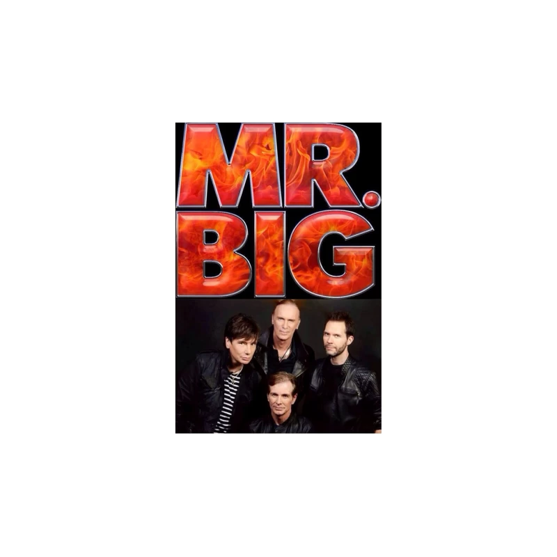 9 MR. Big Tapestry