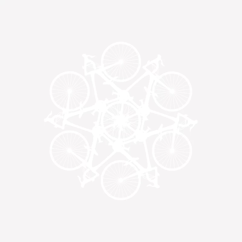 RLTW Bicycle Circle Kaleidospoke RLTW Bicycle Circle Kaleidospoke