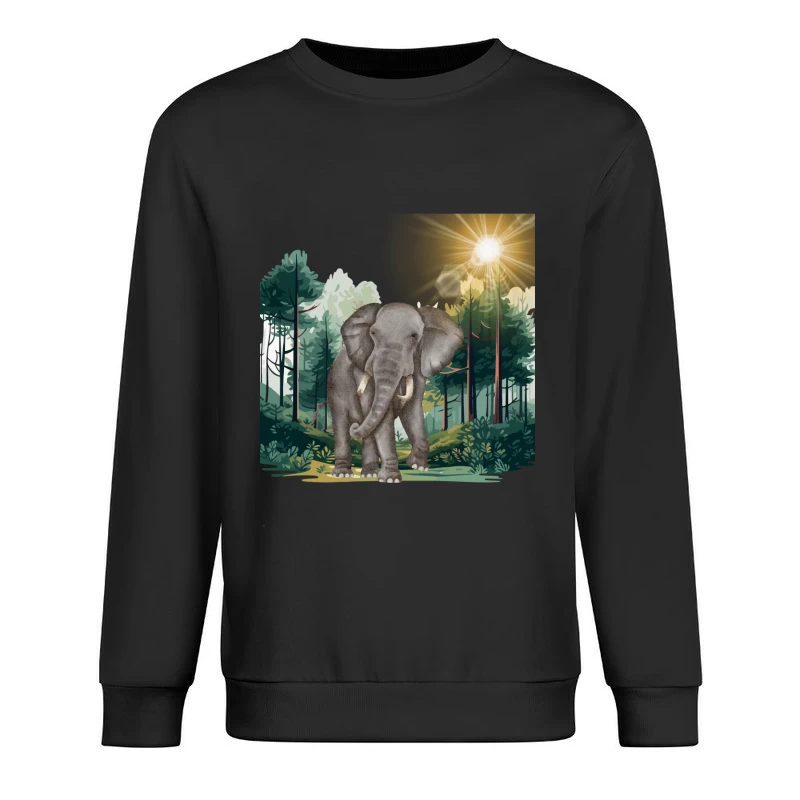  Male Pullover Sweatshirt
