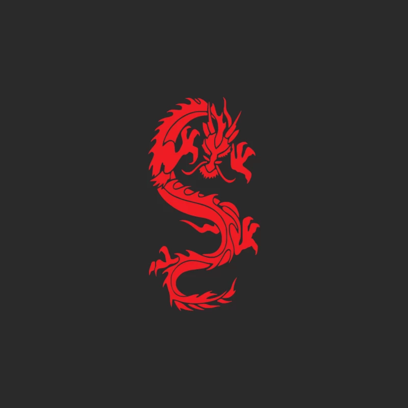 CHINESE DRAGON MMA Baseball Cap