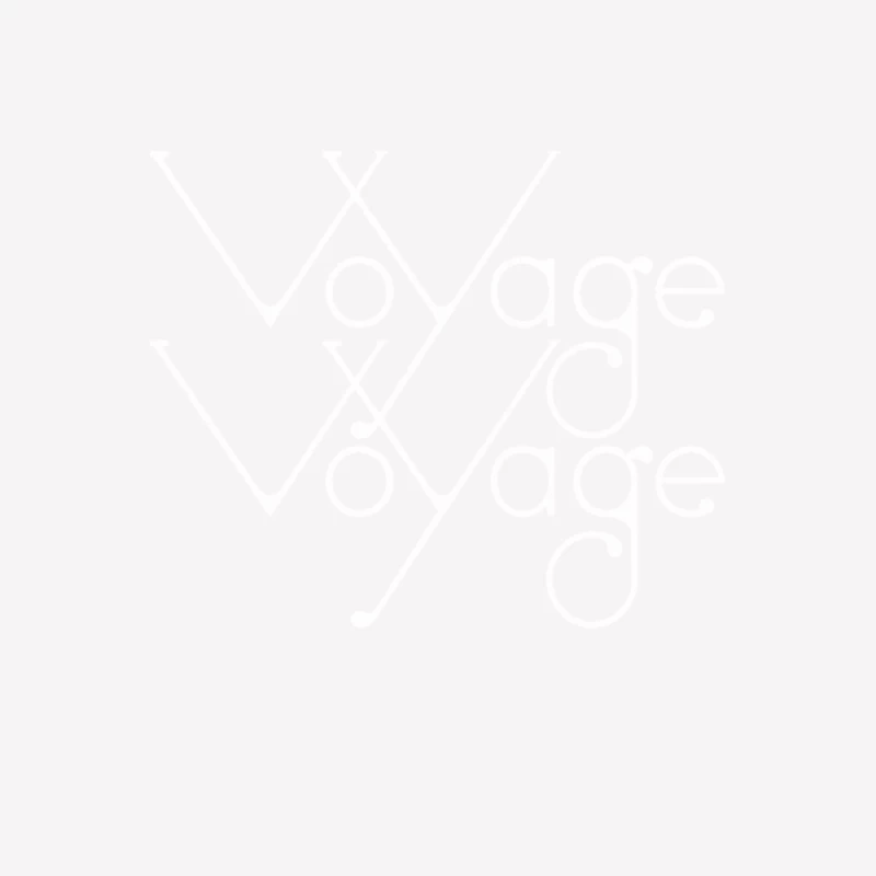 Desireless  Voyage, Voyage  80s EuroPop Male T-Shirt