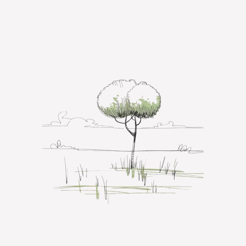 Minimalist Sketch of a Solitary Tree in Nature