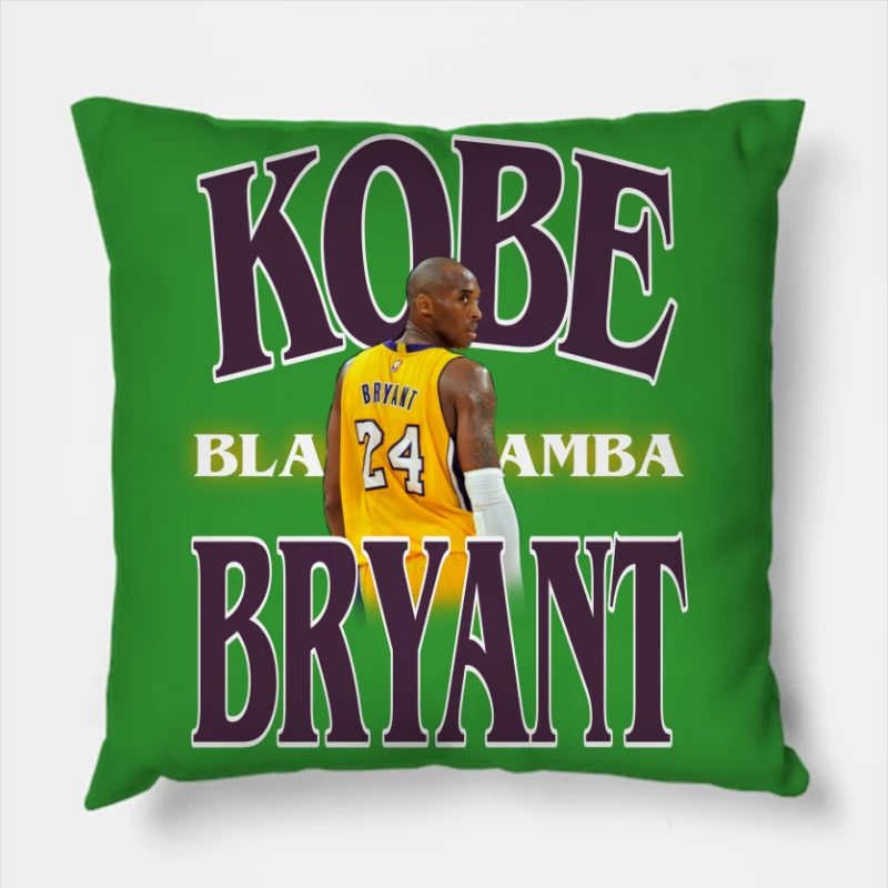  Throw Pillow
