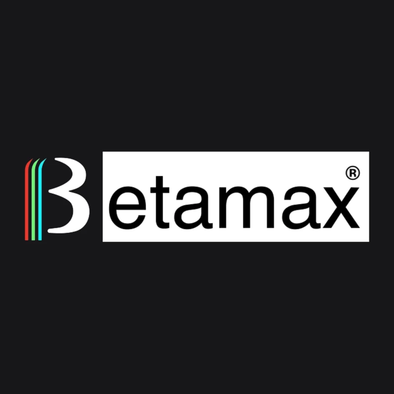 Etamax Modern Minimalist Brand Logo with Colored Stripes Male Pullover Hoodie